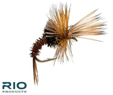 Challenged MayFly Emerger